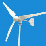 Small Wind Turbine\Wind Generator (AN-FD-600W)